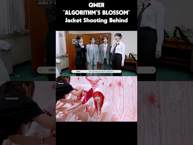 2024_11_17  QWER 'ALGORITHM'S BLOSSOM' Jacket Shooting Behind #...설명에 원본 주소 포함
