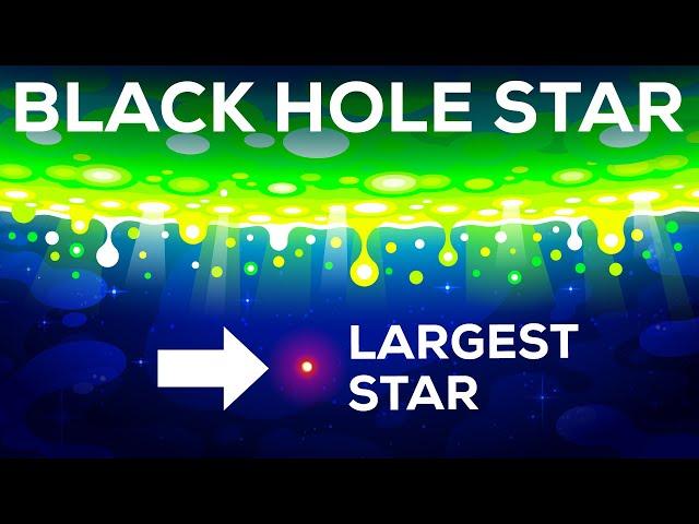 Black Hole Star – The Star That Shouldn't Exist