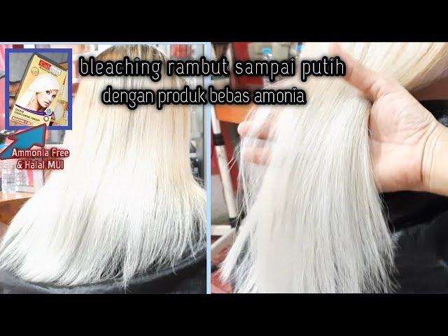 Bleaching rambut sampai putih dengan cultusia ammonia free