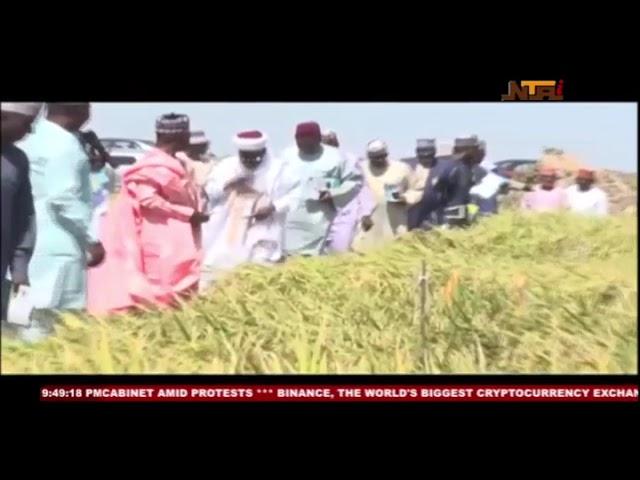 Rice Farmers Field day in Birnin kebbi