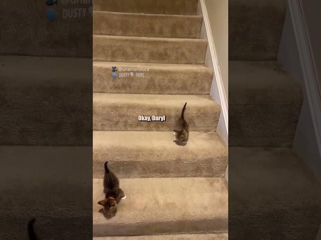 stairs are very treacherous : unamamiloca (TikTok), #shorts