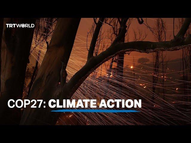 COP27: climate action | TRT World Special Coverage