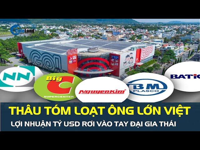 Thâu tóm loạt ông lớn Việt, lợi nhuận tỷ USD rơi vào tay đại gia Thái | CafeLand