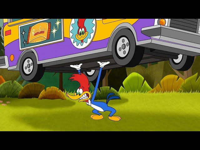 Food Truck Showdown | 1 Hour of Woody Woodpecker Full Episodes