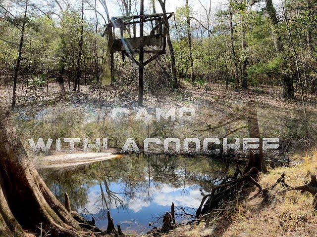 Abandoned Camp Withlacoochee and Exploring Withlacoochee State Forest