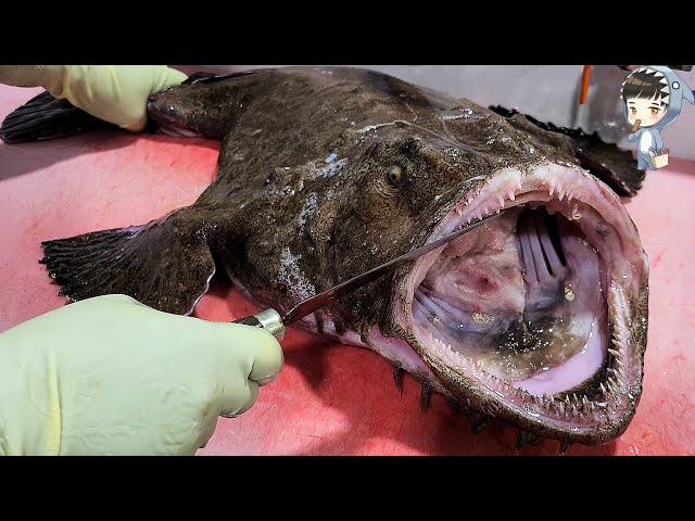 KOREAN STREET FOOD MONSTER MONKFISH ANGLER FISH SASHIMI POHANG SEAFOOD KOREA 12KG 아구 아귀