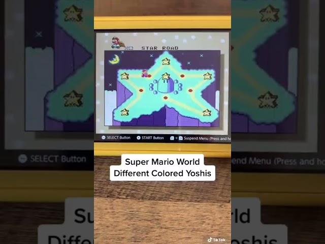 Different Colored Yoshi’s In Super Mario World