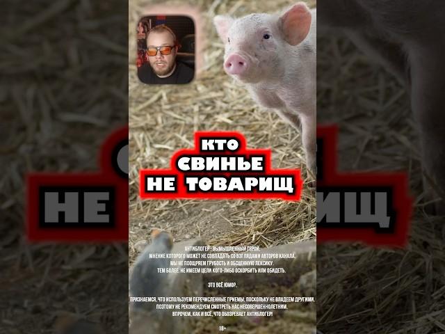 Кто свинье не товарищ #свинья #товарищ #электросамакат #поездка
