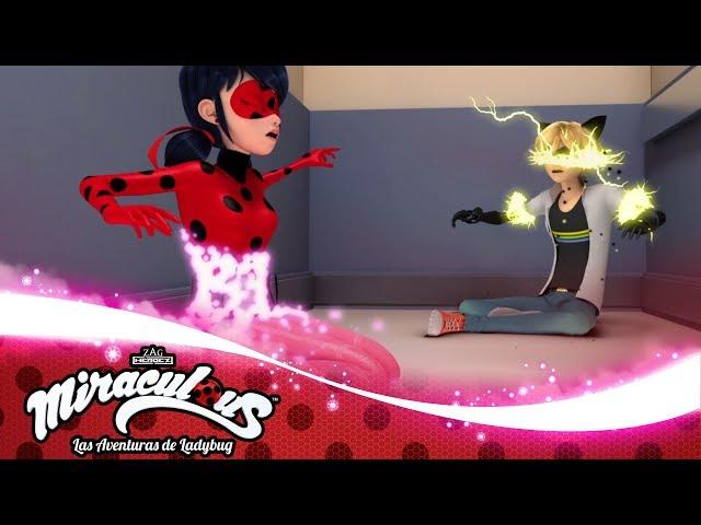 MIRACULOUS |  OBLIVIO  | Las Aventuras de Ladybug