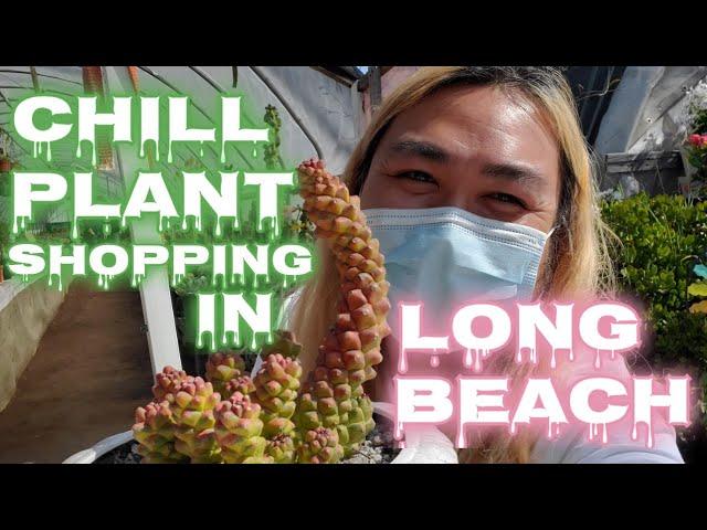 Plant Shopping at a Long Beach Nursery