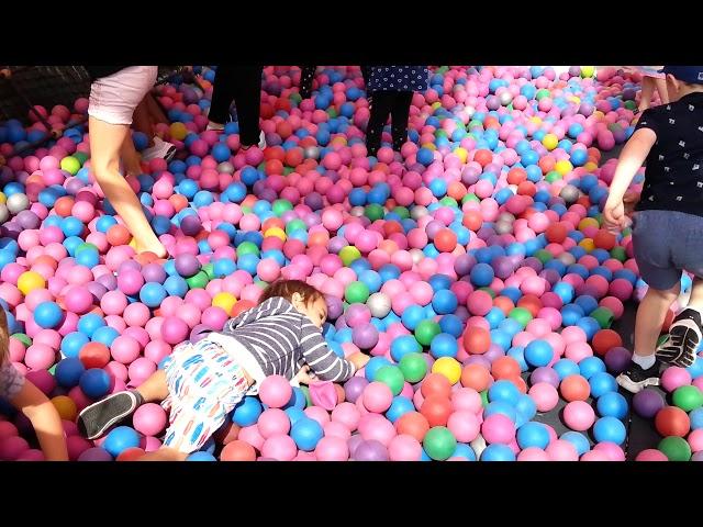 Baby struggles to stand on balls African Lion Safari