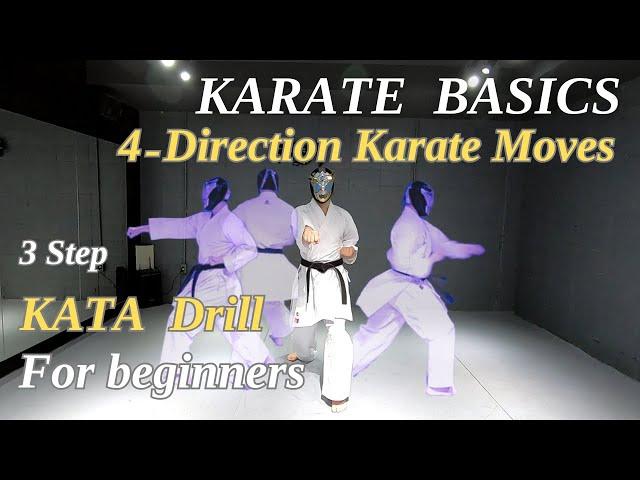 4-Direction Karate Moves for beginners | Traditional karate training at home / Explained in detail