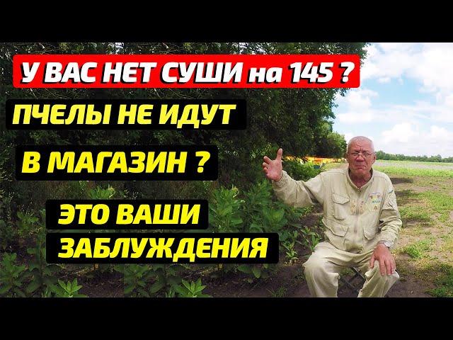 Как заставить пчел идти в магазин  Как заставить пчел тянуть вощину