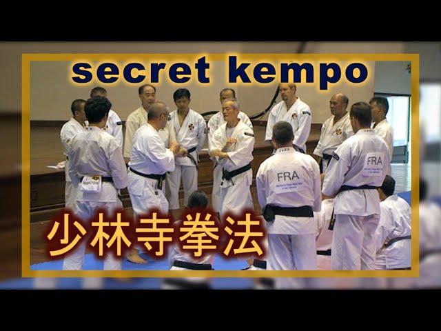 hangetsu geri,K aishin zuki, tembin. Kawashima, Yamasaki. Secret techniques Shorinji Kempo.武道少林寺拳法