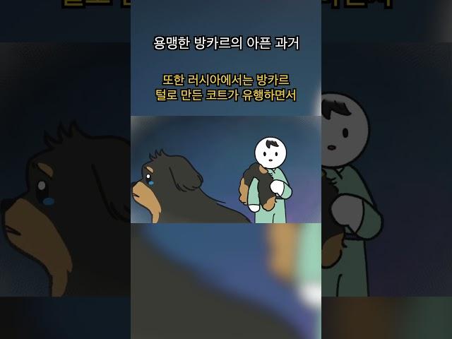 사람이 미안해, 용맹한 방카르의 아픈 과거