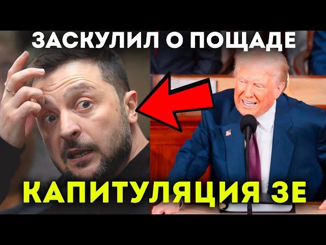 Кинули ВСЕ! Капитуляция Зеленского? Переговоры с США назначены! Депортация украинцев и кидок Европы