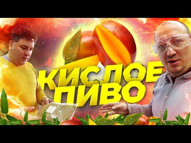 КИСЛОЕ ПИВО Sour Ale с пюре МАНГО. Просто ПУШКА!