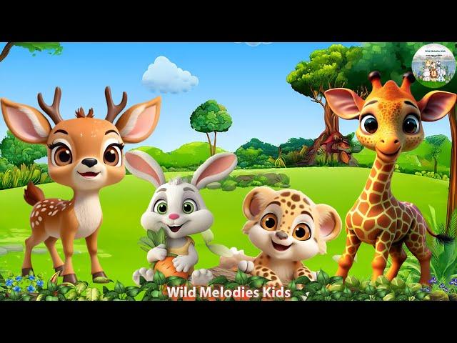 Cute Animal Collection: Leopard , Giraffe, Sika Deer, Rabbit, Otter - Animal Moments