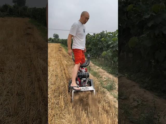 Amazing Farming Machine in Action  | JUST KD Agriculture | Part 128