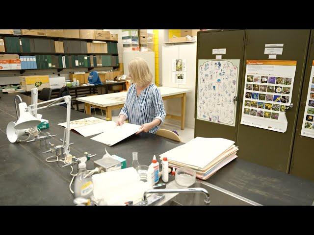 Studying plants to protect our food security - Emerald Award Recipient, The Plant Biodiversity Lab