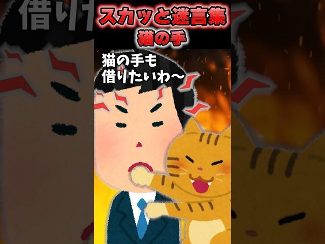 「猫の手でも借りたいわ〜」→望み通り猫に会わせた結果ｗｗｗｗ 【2chスカッとスレ】#shorts