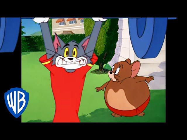 Том и Джерри | Новогодние цели Тома и Джерри | WB Kids