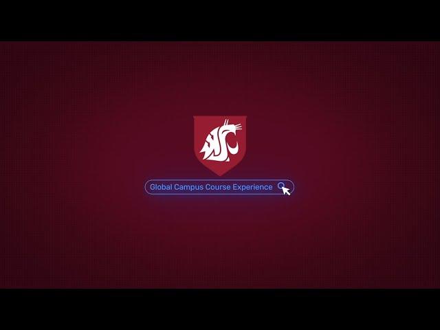 Global Campus Course Experience