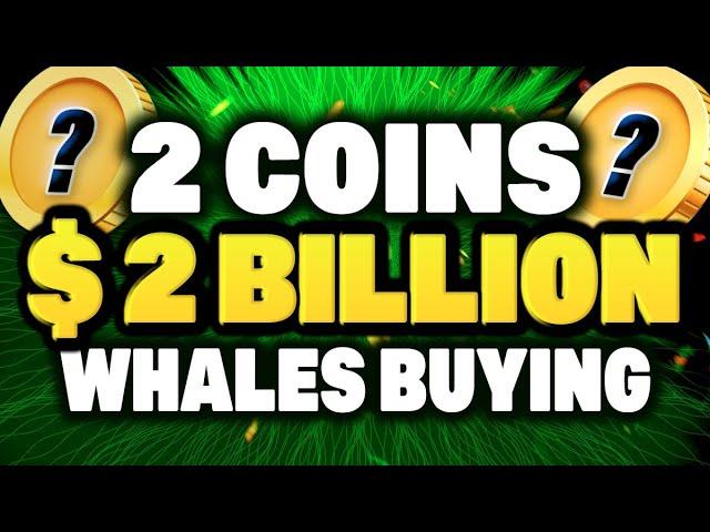 Crypto Whales Are Buying These 2 ALTCOINS