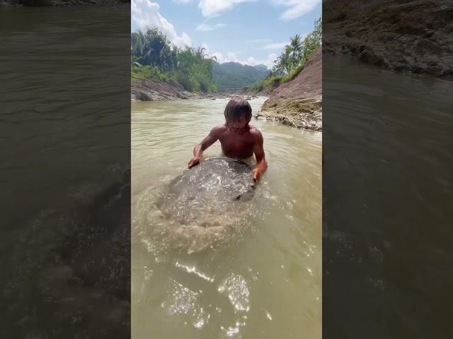 Wow this man dived and got the river material that contains gold #gold #goldenretriever #mining