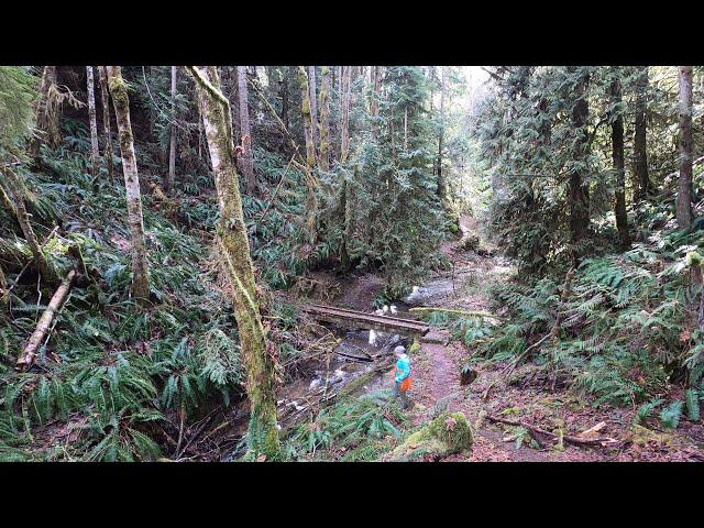 Peabody Creek Trail | Olympic National Park | Port Angeles, Washington