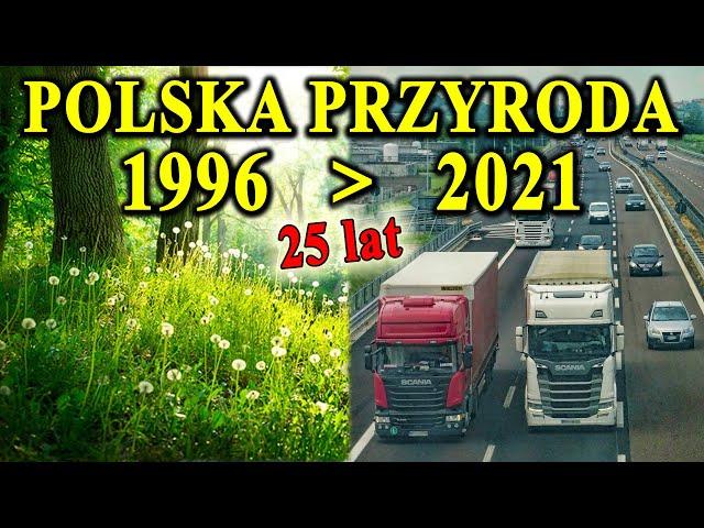 Jak Zmieniła się PRZYRODA Polska Przez 25 Lat?