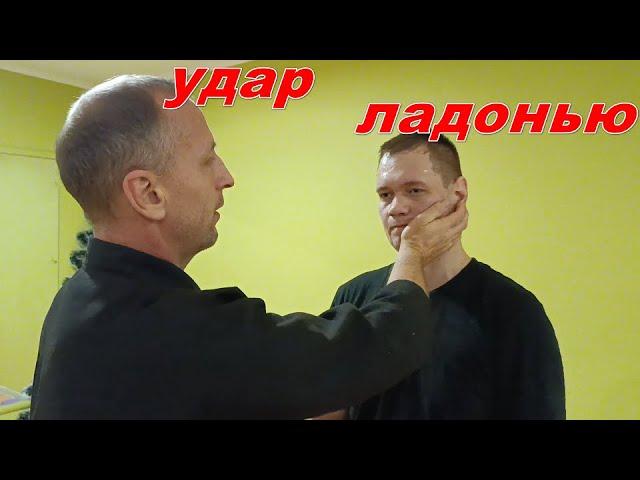 Нокаутирующий удар ладонью, прямой