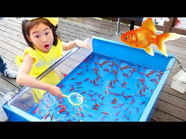 보람이의 핑크퐁 아기상어 낚시놀이 물고기 잡기 Catch Real Fish with Pinkfong Fishing Toys