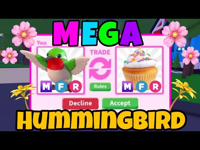 Trading My Mega Hummingbird In Adopt Me But Did I Make A Massive Mistake 