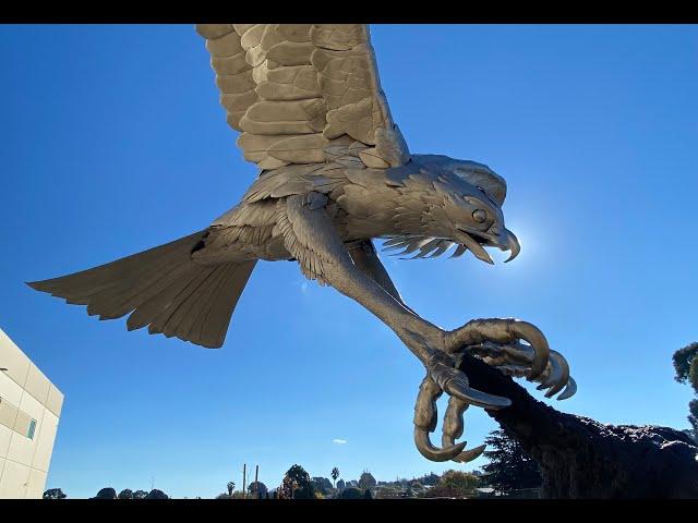 Richmond's new osprey sculpture