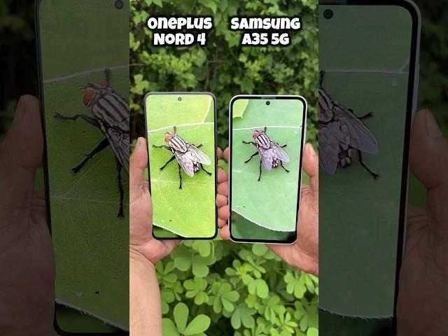 Samsung A35 vs OnePlus Nord 4 Camera Test