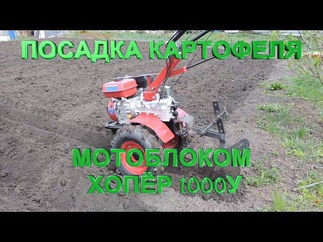 Посадка картофеля мотоблоком Хопёр 1000У