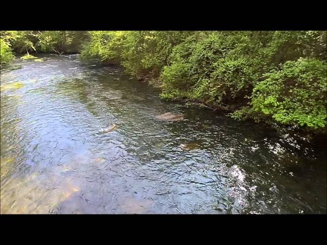 Drone Flyover Green River from Pot Shoals Road Bridge