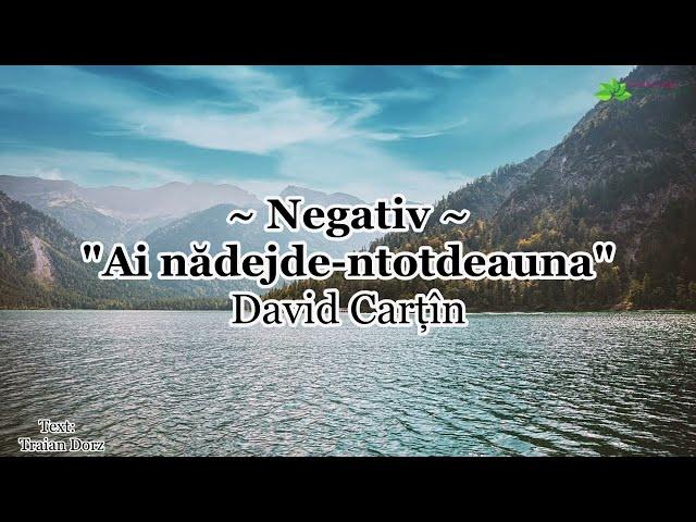 Negativ - Ai nădejde - David Cartîn [2022]