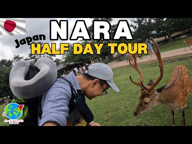  NARA, JAPAN Half Day Travel Guide  #japan #japantravel #narajapan