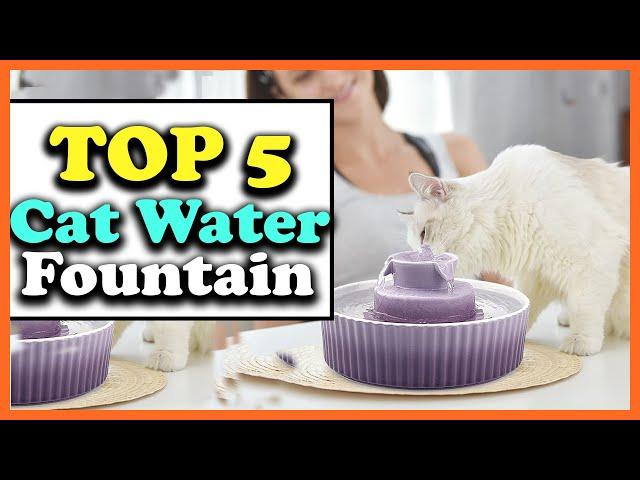 Top 5 Best Cat Water Fountains of 2022