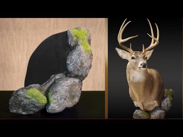 Creating a Custom Habitat with Plaster Cloth | Taxidermy Supply | Scenes-n-Nature