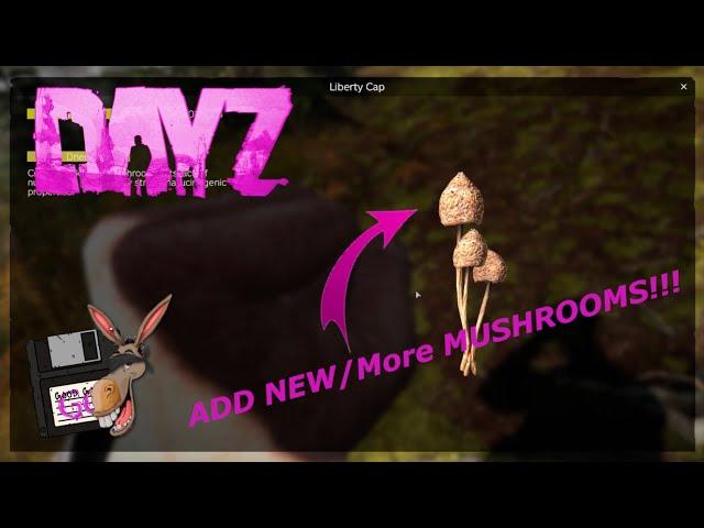 DayZ | How to add NEW / More Mushrooms to your console & PC Server!!!