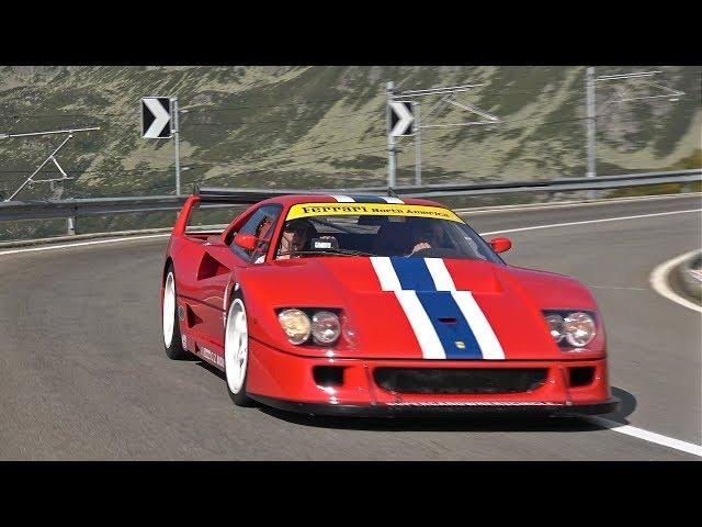 Street Legal Ferrari F40 LM - Lovely Exhaust Crackles + Sounds!