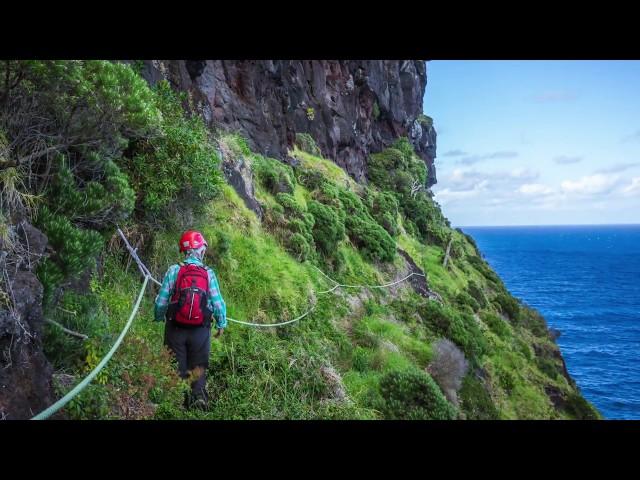 Mt Gower Climb on Lord Howe Island