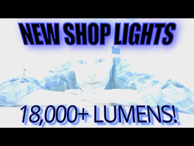 Accurate Rifles and Restorations - Shop Lights