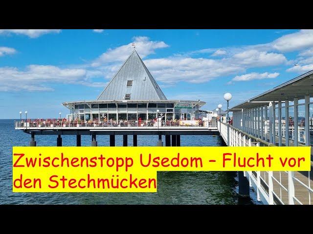 Stechmücken-Plage auf dem Weg nach Polen und dem Baltikum - Zwischenstopp Usedom