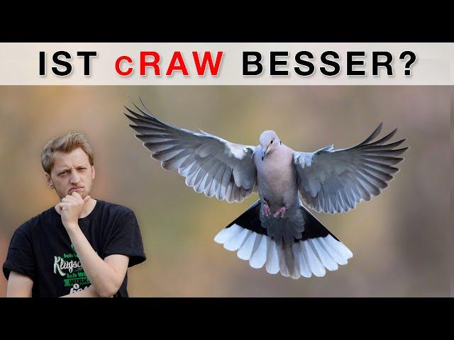 Lag ich FALSCH? cRAW und RAW im Vergleich bei der Canon R5