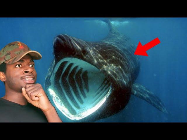THE OCEAN IS SCARY #Shorts
