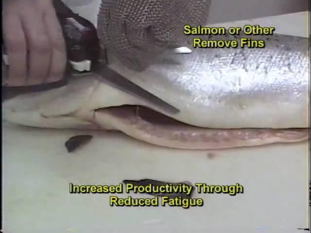 Salmon Dorsal Fin Removal - AirShirz